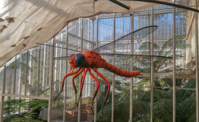 Sculpture d'une libellule du crétacé à taille réelle