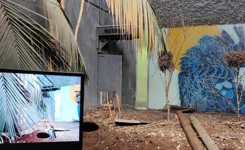 Des nids pour un décor mettant en scène des oiseaux virtuels