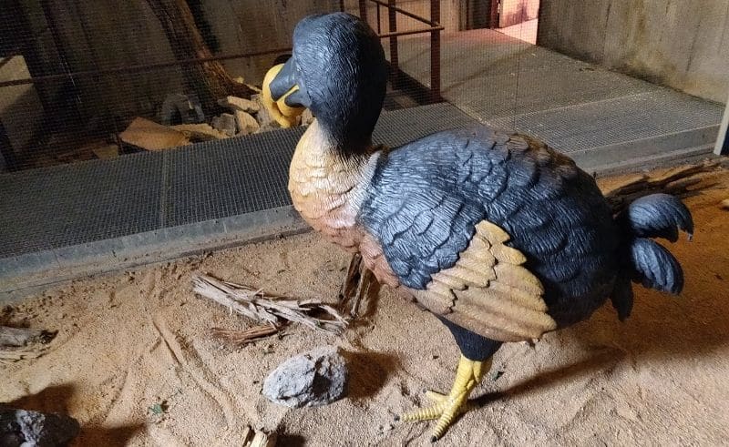 Sculpture d'un Dodo, oiseau disparu - Parc des oise
