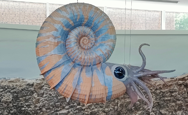 Sculpture de reconstitution d'une ammonite
