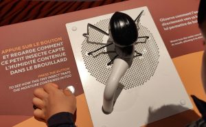 La condensation de l'eau de l'onymarcis : Manipe pédagogique jeune public exposition Trop Forts Musée des Confluences