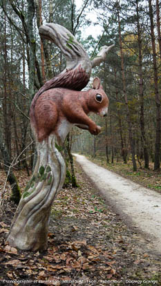Chaumont-sur-Tharonne - Sculpture fantastique d'un écureuil sorti d'un arbre